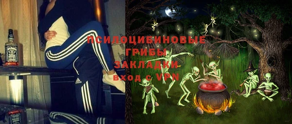 spice Лагань