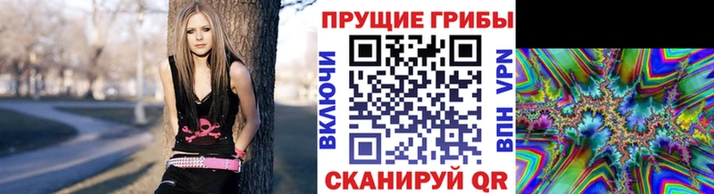 даркнет сайт  Жуковка  MEGA ссылка  Псилоцибиновые грибы ЛСД 